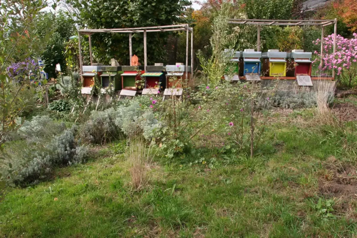 Bienenhaltung von gestern