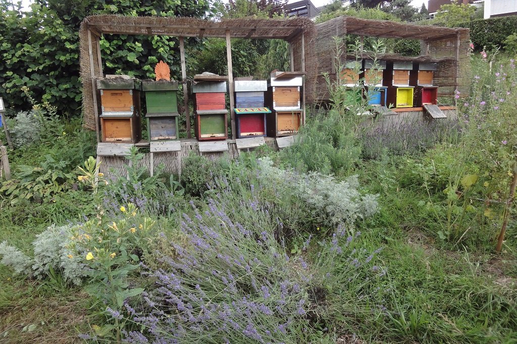 Bienen
